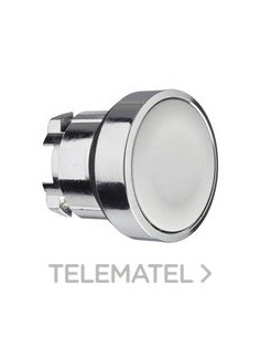 CABEZA PULS.d.22 RAS.S/PL.GR EMET.