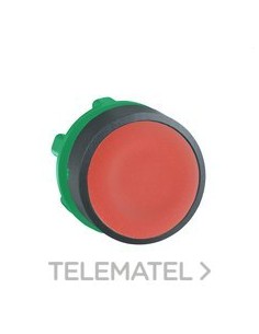 CABEZA PULS.d.22 RAS.RJ EPLA.