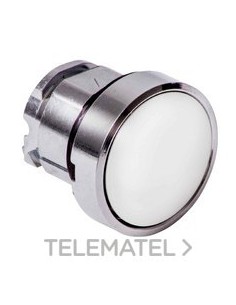 CABEZA PULS.d.22 RAS.PULSAR BL