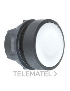 CABEZA PULS.d.22 RAS.GR EPLA.