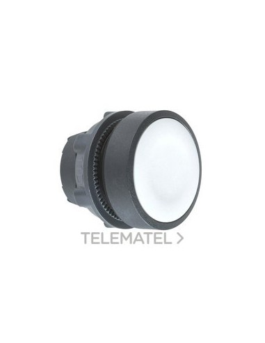 CABEZA PULS.d.22 RAS.GR EPLA.