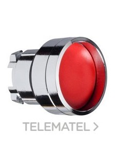 CABEZA PULS.d.22 RAS.EMB.RJ EMET.