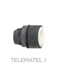 CABEZA PULS.d.22 RAS.EMB.BL EPLA.