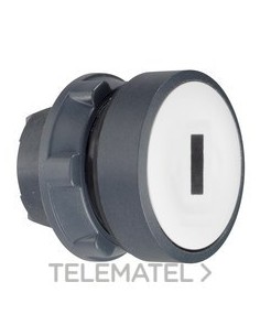 CABEZA PULS.d.22 RAS.BL "I" NG EPLA.