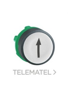 CABEZA PULS.d.22 RAS.BL FLECHA NG EPLA.