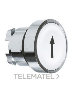 CABEZA PULS.d.22 RAS.BL FLECHA NG EMET.