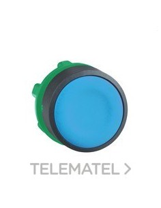 CABEZA PULS.d.22 RAS.AZ EPLA.