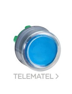 CABEZA PULS.d.22 CPON.TP AZ EPLA.