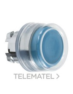 CABEZA PULS.d.22 CPON.TP AZ EMET.