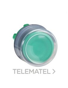 CABEZA PULS.d.22 CPON.ETIQ.VD EPLA.