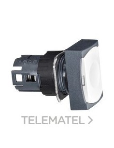 CABEZA PULS.d.16 RAS.IMPN.BL RTGLAR.