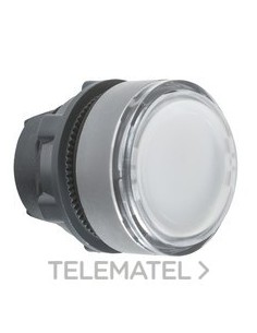 CBZA.PULS.LUMIN.XB5 BL LED ETIQ.PULSACIÓ