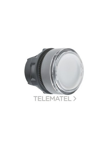 CBZA.PULS.LUMIN.XB5 BL LED ETIQ.PULSACIÓ