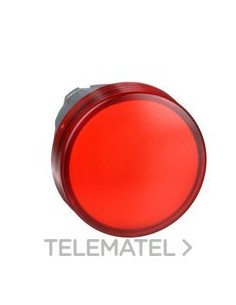 CABEZA PIL.LUMIN.d.22 RED.LENTE LISA RJ