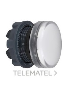 CABEZA PIL.LUMIN.BL LED P/ETIQ.
