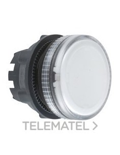 CABEZA PIL.L.BA9s EPLA.INCOL.