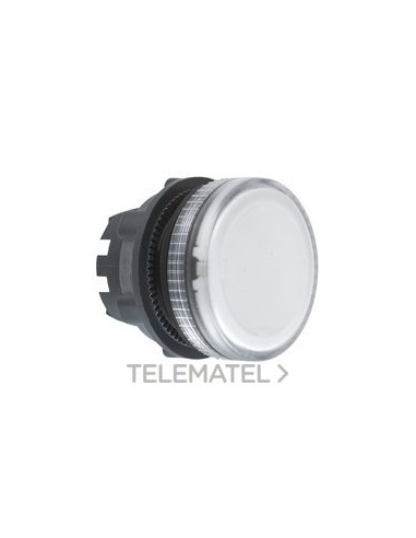 CABEZA PIL.L.BA9s EPLA.INCOL.