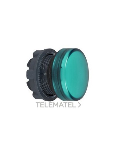 CABEZA PIL.L.BA9s EPLA.VD