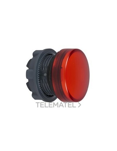 CABEZA PIL.L.BA9s EPLA.RJ