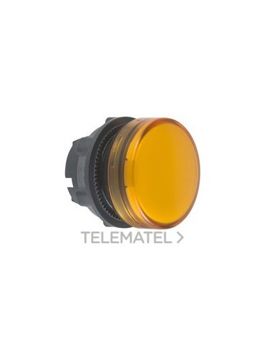 CABEZA PIL.L.BA9s EPLA.AM.