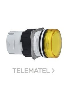 CABEZA PIL.d.16 RED.AM.