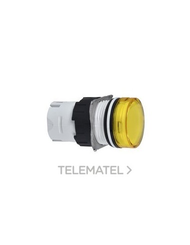 CABEZA PIL.d.16 RED.AM.