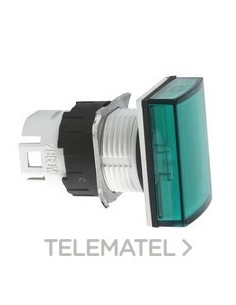 CABEZA PIL.d.16 RTGLAR.VD