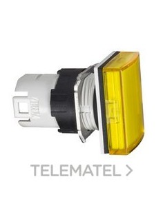 CABEZA PIL.d.16 RTGLAR.AM.