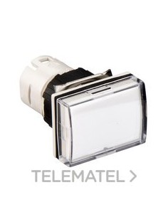 CABEZA PIL.d.16 RTGLAR.BL