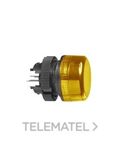 CABEZA PANT.DIG.NUM.d.22 AM.