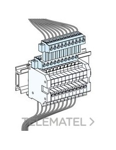 BORNA DESCONEXIÓN 10 CABLES AUXILIARES
