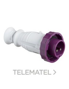 BASE MURAL 125A 2P+TT 200-250V IP67