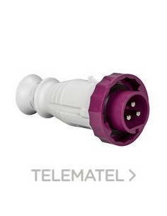 BASE MURAL 125A 2P+TT 200-250V IP67