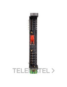 BASE INICIO SEGMENTO