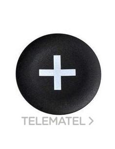 PLACA + PULSADOR RASANTE