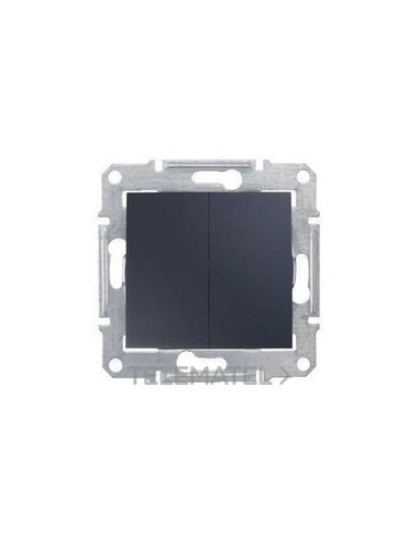 INTERRUPTOR DOBLE GRAFITO