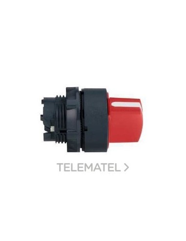 CABEZA SEL.d.22 MTA.CTA.RJ 3 FJA.EPLA.