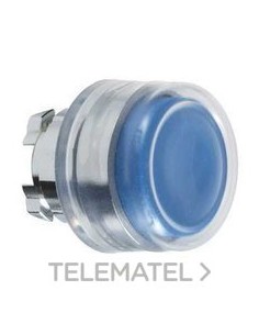 CABEZA PULS.d.22 CPON.ETIQ.AZ EMET.