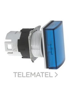 CABEZA PIL.d.16 RTGLAR.AZ