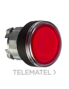 CABEZA PULS.LUMIN.RAS.RJ EMB.NG