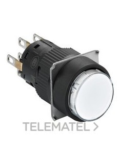 PULSADOR RED.LUMIN.BL 24V 2 NA/NC