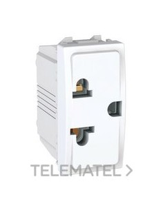 BASE 2P+TT EUROAM.+TTL.ESTR.BPL.