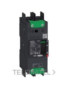 INT.POWERPACT BJ 65kA TM110D 2P TORN.