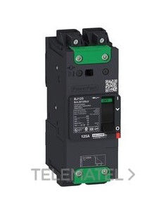 INT.POWERPACT BG 35kA TM15D 2P ELINK