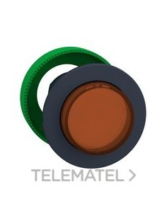 CBZA.PULS.LUMIN.XB5 MONT.ENRAS.NJ.BTN