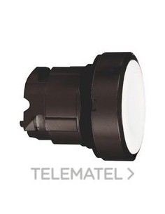 CABEZA PULS.RAS.BL EMB.NG