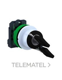 SEL.XB5 MONT.ENRAS.LLV.455 2 POS.FJA.1