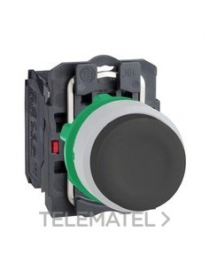 PULS.STE.XB5 NG 1 NA CPON.TP COLOR BL